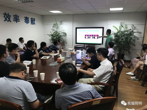 科技创新，点亮未来 熊猫照明与首尔半导体技术交流研讨会成功举办