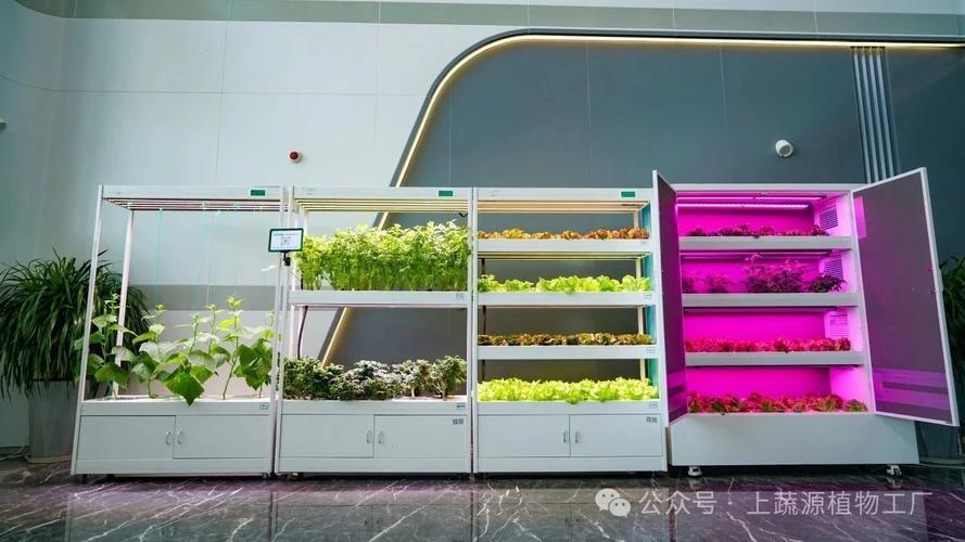 科技赋能农业 工厂化智慧种植与智能管控的技术交流